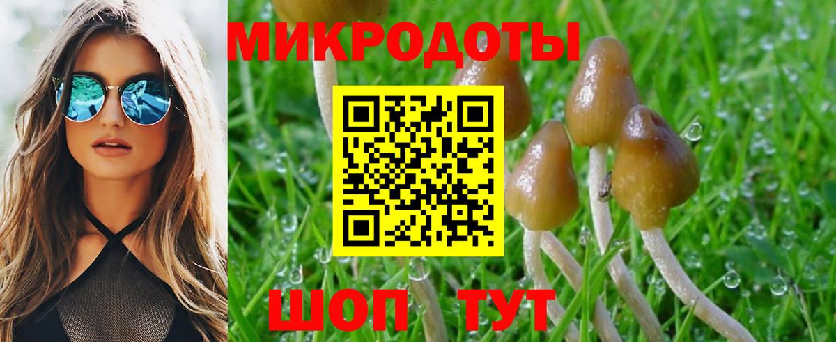 Кинель  Галлюциногенные грибы Cubensis  Вход с VPN  Псилоцибиновые грибы Cubensis 