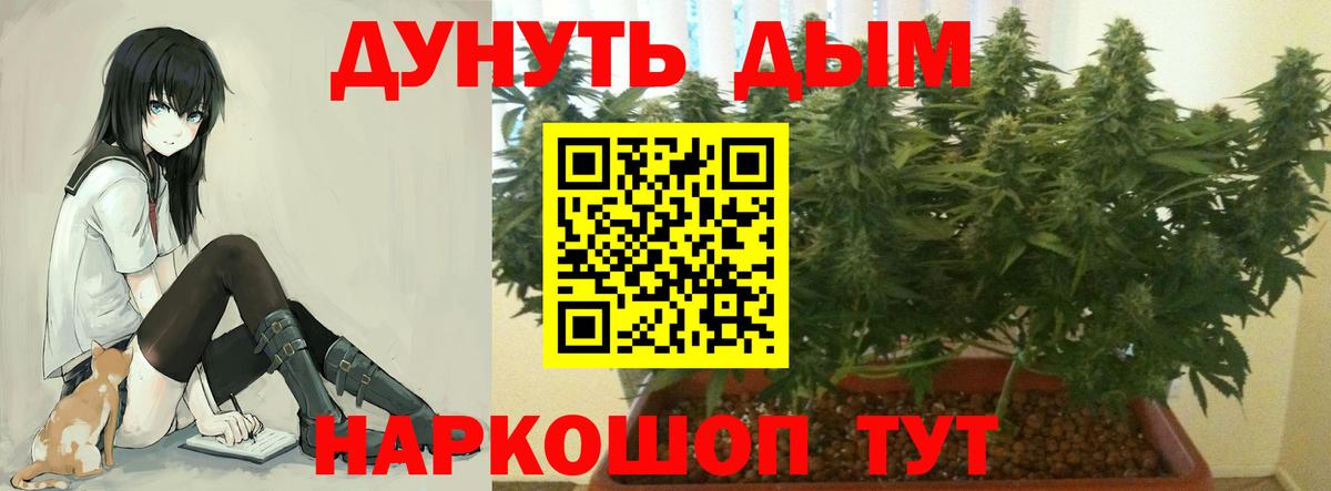 Канабис Ganja  Канабис White Widow  Конопля LSD WEED  Вход с VPN  Кинель  Бошки Шишки Ganja 